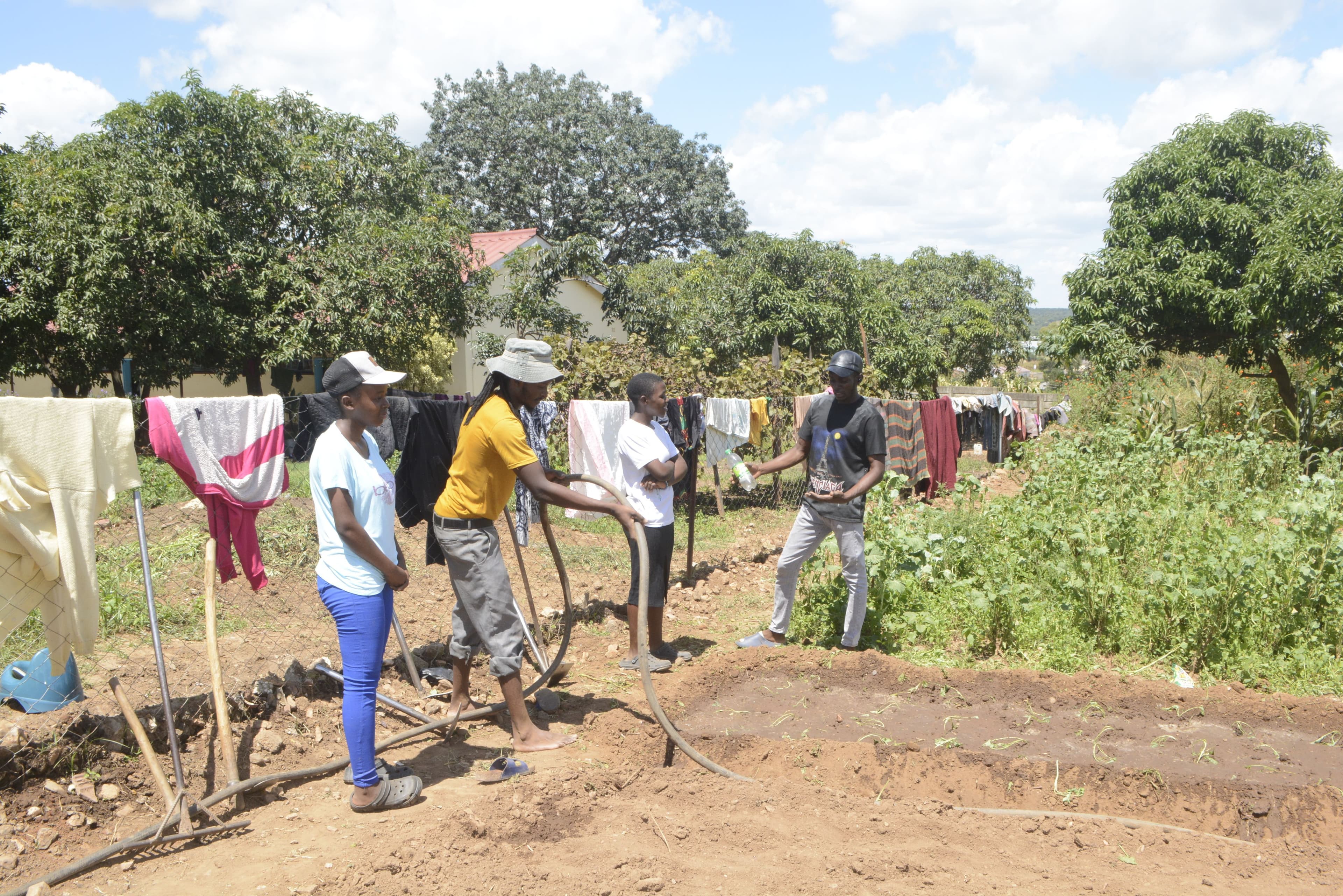 Vegetable Cultivation & Community Care – Chengetanai Old People’s Home