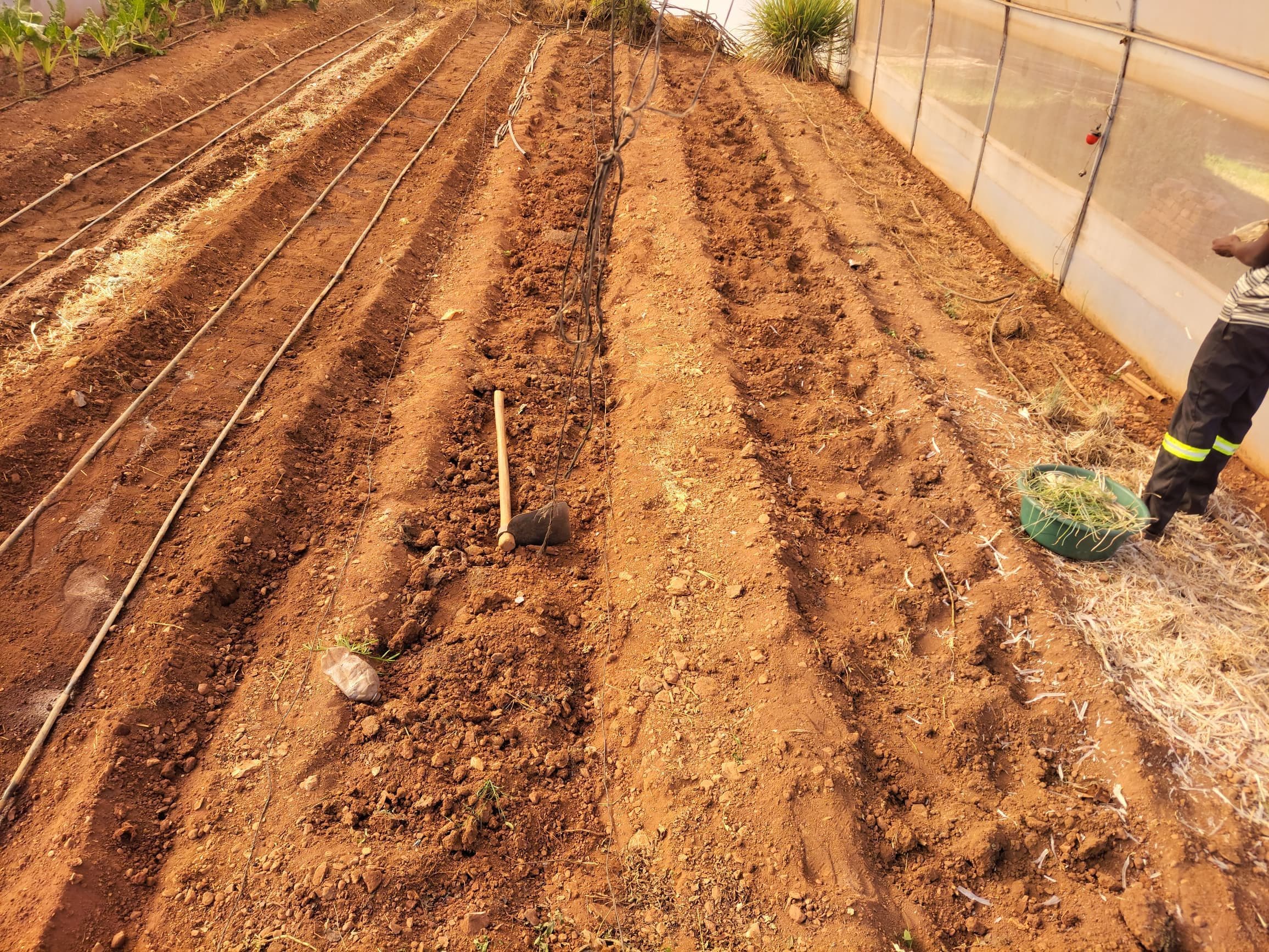 Nazareth Old People's Home Vegetable Garden Development